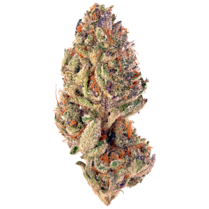 Tropicana Cookies kaufen