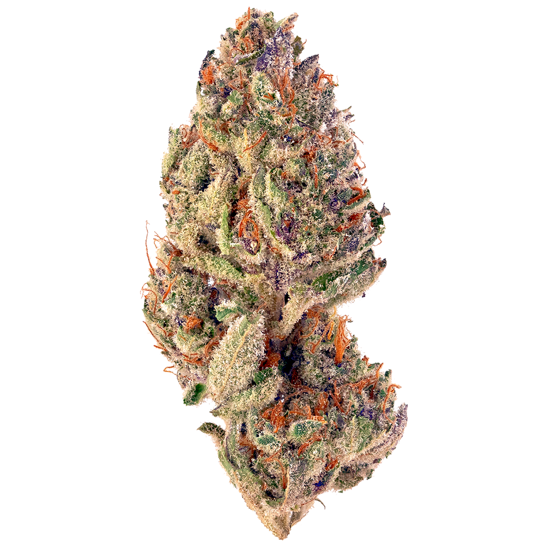 Tropicana Cookies kaufen